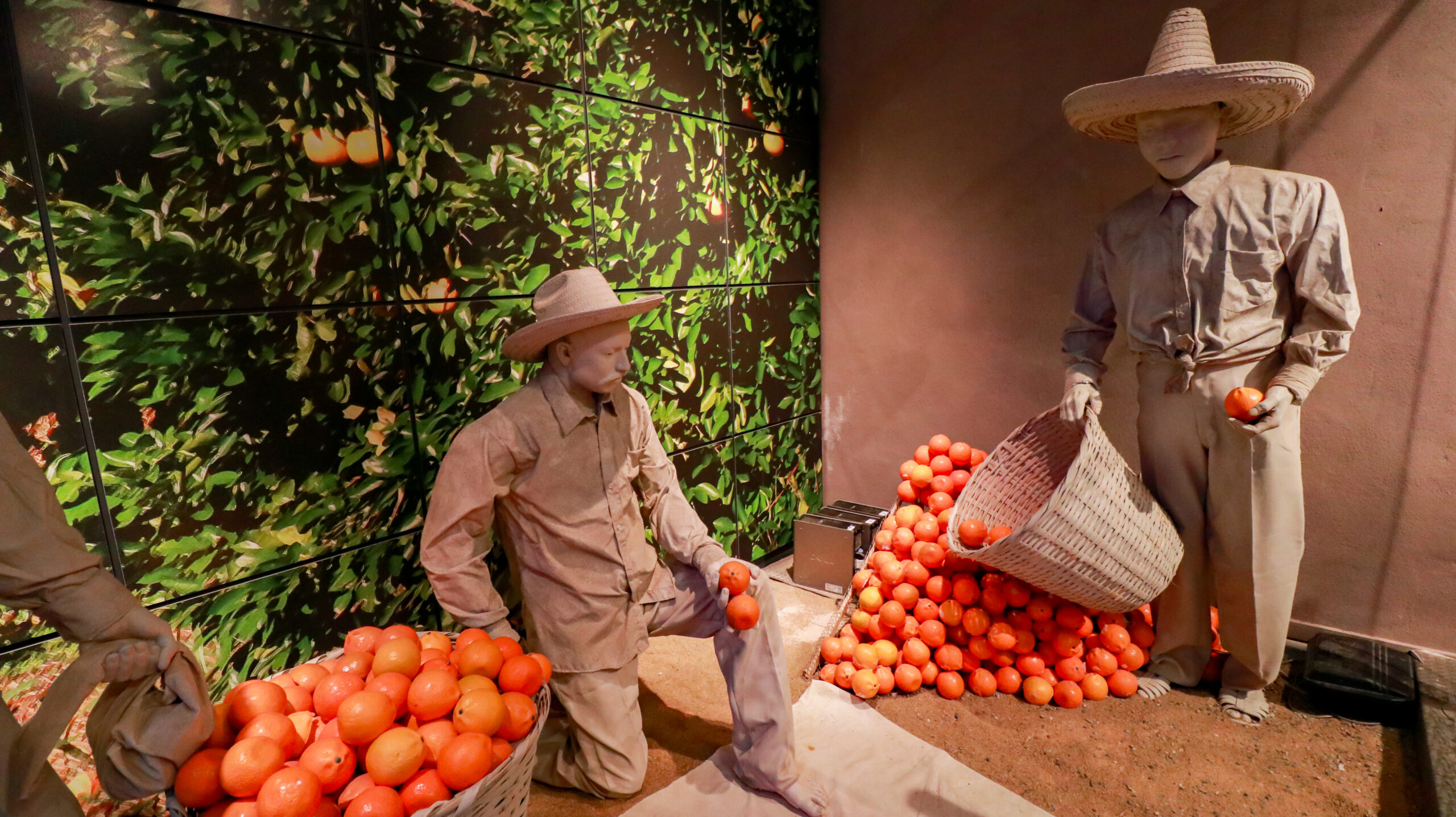 Museo Histórico Valle del Pilón - Montemorelos (78)